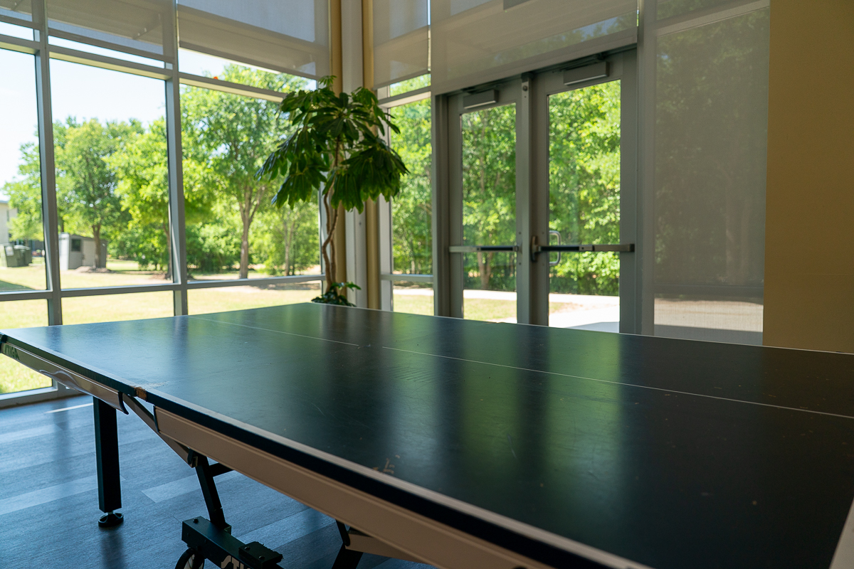 A ping pong table is positioned indoors near large windows with a view of trees and a grassy area outside.