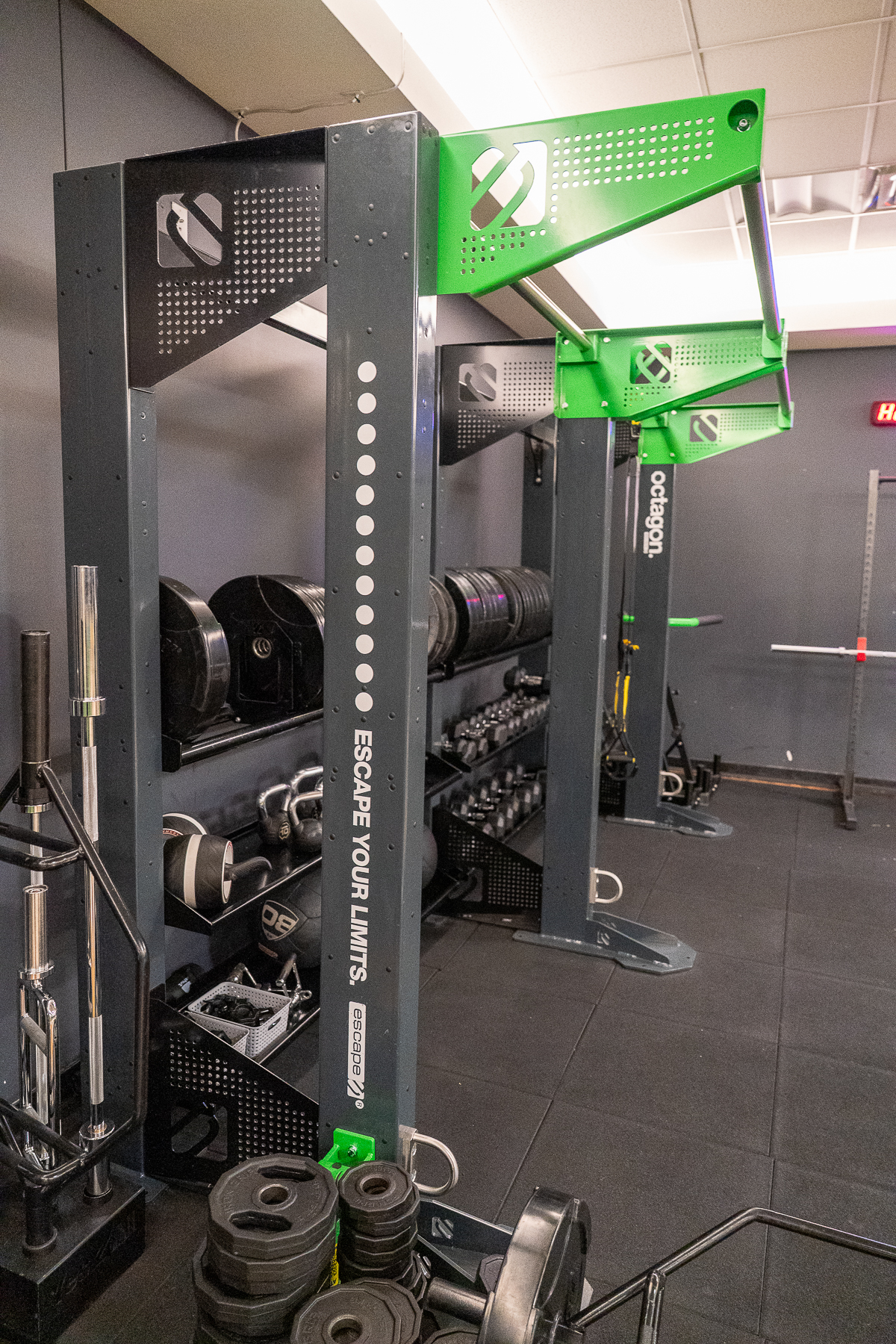 A gym area with squat racks, weight plates, barbells, and dumbbells organized on racks against a gray wall.